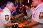 Bomb blast at Bangkok's Erawan Shrine: Turkish man arrested - 84