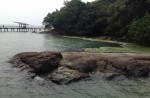 Surprise attractions on Pulau Ubin - 24