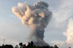 Ash-covered dog seen in aftermath on Mount Sinabung volcano eruption - 8