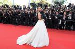 Stars light up red carpet at Cannes - 6