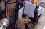 Man kicks, punches dog in Loyang Green home - 7
