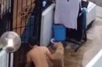 Man kicks, punches dog in Loyang Green home - 8