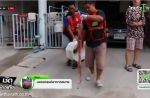 4-metre long python bites Thai man's genitals in toilet - 4