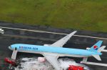 Panic as Korean Air plane caught fire - 6