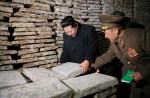 A look at North Korea's Kim Jong Un - 44