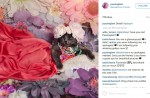 Starving cat transformed into glamour puss after rescue - 12