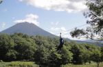 Boy, 7, missing after parents abandon him in forests with bears - 9