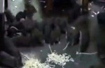 Chinese man feeds noodles to 130 rats living in his apartment - 2