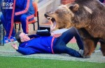 Man Utd boss Louis Van Gaal's fall during match inspires hilarious memes online - 7