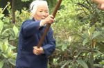 China's 93-year-old gongfu grandma - 1