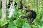 Boy, 7, missing after parents abandon him in forests with bears - 5