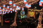 Parades and celebrations honour Thai King on his 88th birthday - 21