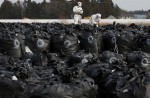 Radioactive Fukushima - 5