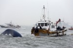 South Korean ferry sank with 450 passengers onboard - 67