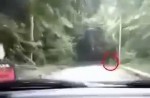 Ghostly figure on Malaysian road shocked driver - 4