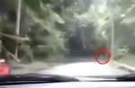 Ghostly figure on Malaysian road shocked driver - 3