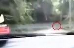 Ghostly figure on Malaysian road shocked driver - 5