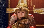 Aaron Kwok reveals 'stinging pain' while filming The Monkey King 2 - 8