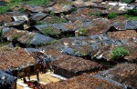 Rohingya victims of human trafficking - 8