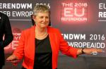 Britain votes on EU membership in Brexit referendum - 3