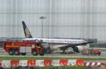 Singapore Airlines plane catches fire at Changi Airport - 11