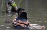 Nearly 30 whales trapped in a mangrove swamp in Indonesia - 1