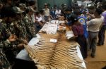 Thai officials continues removal of tigers from controversial temple - 1