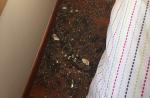 Window at Holland Road condo unit randomly shatters - 5