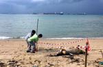 Dolphin carcass washes up on East Coast Park beach - 4