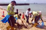 Dolphin carcass washes up on East Coast Park beach - 6