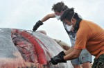 What's inside 10.6m-long dead whale found off Jurong Island - 7