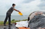 What's inside 10.6m-long dead whale found off Jurong Island - 8