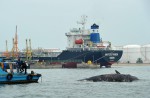 What's inside 10.6m-long dead whale found off Jurong Island - 16