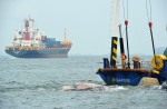 What's inside 10.6m-long dead whale found off Jurong Island - 21