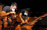 What's inside 10.6m-long dead whale found off Jurong Island - 24