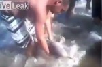 Dolphin dies after being passed among Argentine beach-goers for selfies - 3