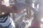 Dolphin dies after being passed among Argentine beach-goers for selfies - 6