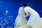 Fan Bingbing riles animal activists by kissing beluga whale - 4