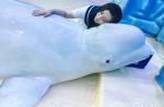 Fan Bingbing riles animal activists by kissing beluga whale - 8
