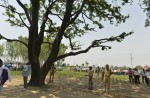 Backlash in India over gang-rape of girls found hanging from tree - 25