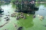 Tourists feed crocodiles from flimsy raft - 1