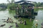 Tourists feed crocodiles from flimsy raft - 7