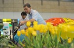 Lovely tulips of Amsterdam at Changi Airport  - 9