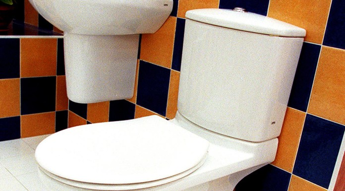 Japanese man jailed for cutting off, flushing rival's penis