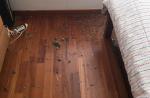 Window at Holland Road condo unit randomly shatters - 0