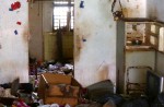 Toa Payoh hoarder and 7 cats lived in squalor - 22