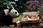 Hong Kong giant panda Jia Jia becomes oldest ever - 5