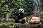 Hong Kong giant panda Jia Jia becomes oldest ever - 6