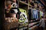 Hong Kong giant panda Jia Jia becomes oldest ever - 10