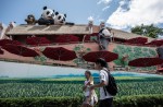 Hong Kong giant panda Jia Jia becomes oldest ever - 8